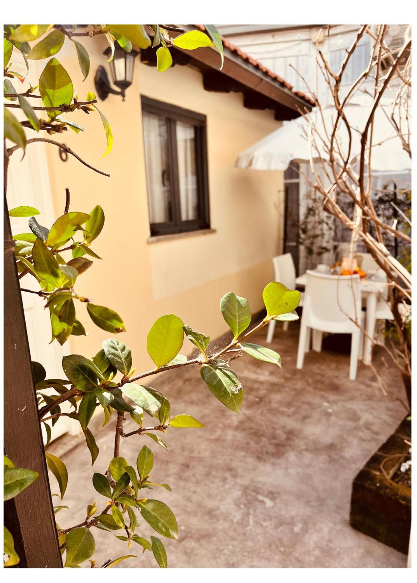 Hotel La Torraccia ตาร์กวิเนีย ภายนอก รูปภาพ